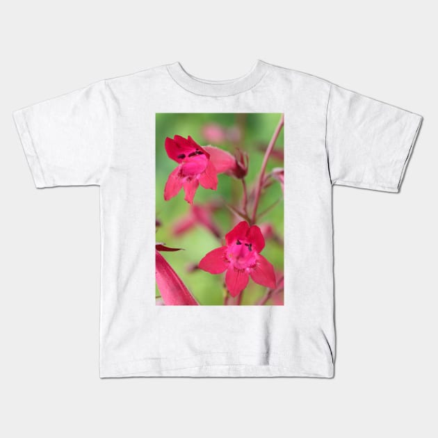 Penstemon  &#39;Andenken an Friedrich Hahn&#39;  &#39;Garnet&#39;  Beard-tongue Kids T-Shirt by chrisburrows